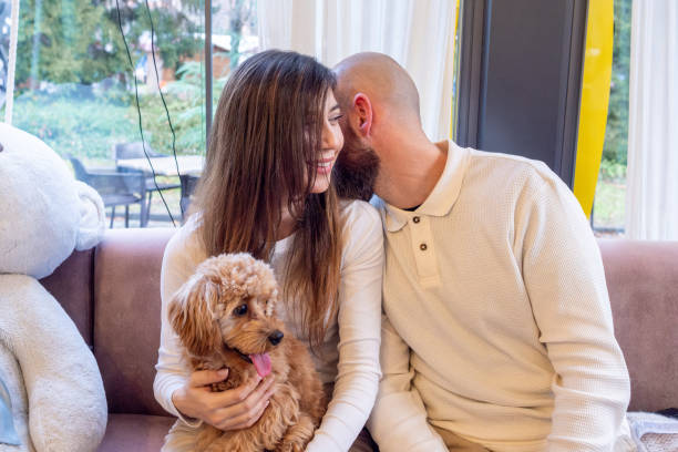 istock A cheerful young family with their pet Cavapoo dog in a cafe. 2192102833