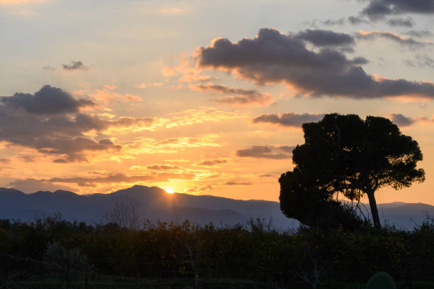 istock Golden sunset casts warm hues over mountains and silhouetted trees in tranquil evening landscape 2192112842