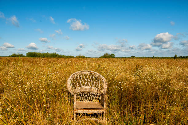 wicker old chair in a field on a sunny summer day