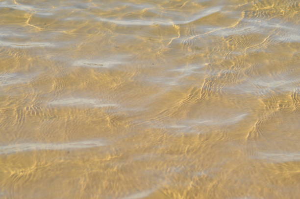 Beach in Poland in summer. A beach without people. Clean sand.