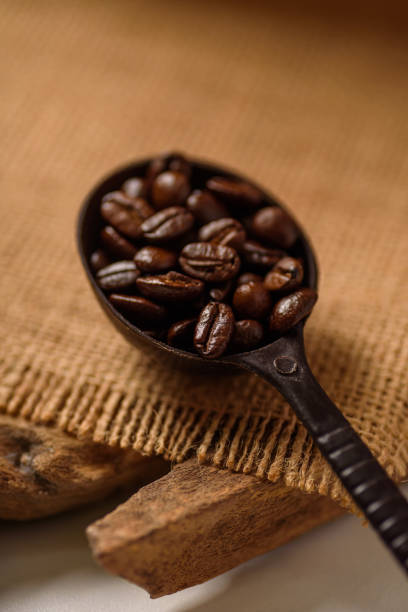 Close up of roasted coffee beans on dark brown spoon. Selective focus on blurred background.