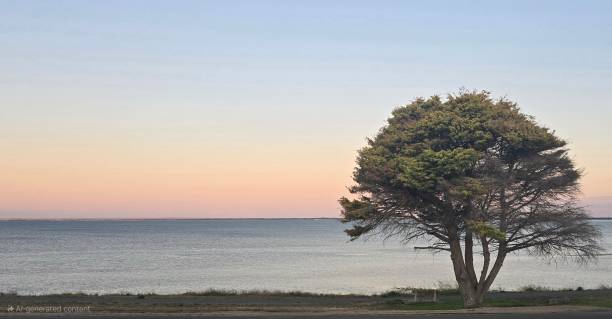istock Beaches of South Australia 2192122277