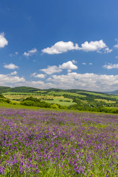istock Spring landscape in White Carpathians, Southern Moravia, Czech Republic 2192123043