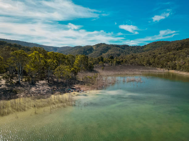 A scenic drone shot of Lake Eildon, Australia, showcasing calm green waters, submerged tree branches, and lush forested hills under a bright blue sky. A tranquil nature escape in Victoria's wilderness una toma escénica con dron del lago eildon, australia, que muestra aguas verdes tranquilas, ramas de árboles sumergidas y exuberantes colinas boscosas bajo un cielo azul brillante. una escapada tranquila a la naturaleza salvaje de victoria