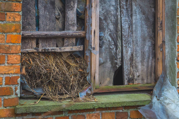 istock a broken window in a barn in the countryside 2192124886
