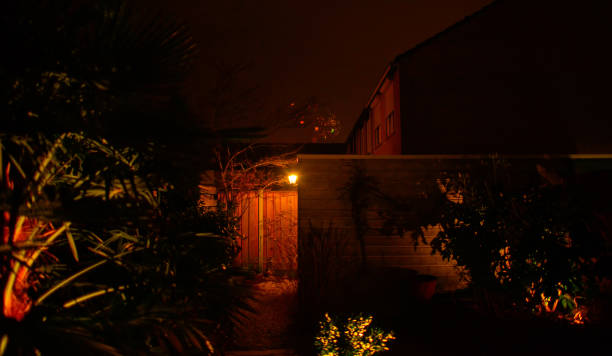 istock Colorful fireworks exploding in the night sky seen from an illuminated garden 2192125908