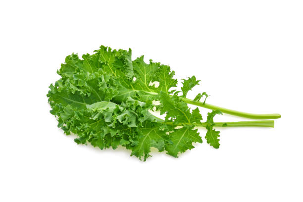 istock Kale leaf salad vegetable isolated on white background 2192127134