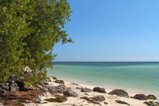 istock Idyllic, tropical sand beach with teal blue sea. Bahia Honda State Park 2192129971