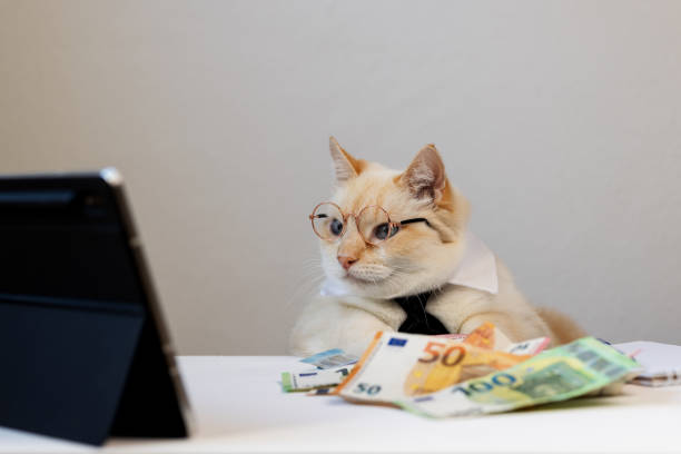 istock Red-haired cat with glasses and  black tie is sitting at  table and looking at  tablet. 2192131186