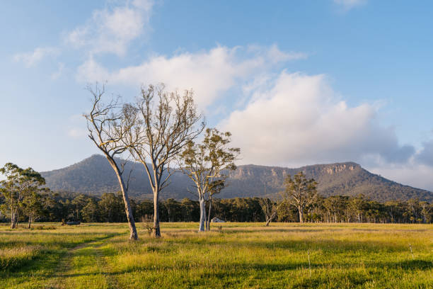 istock The Australian Savannah In Australia 2192133654