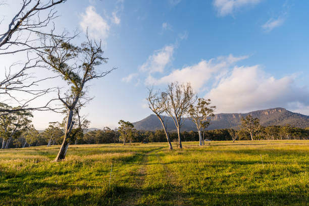 The Australian savannah in Australia.