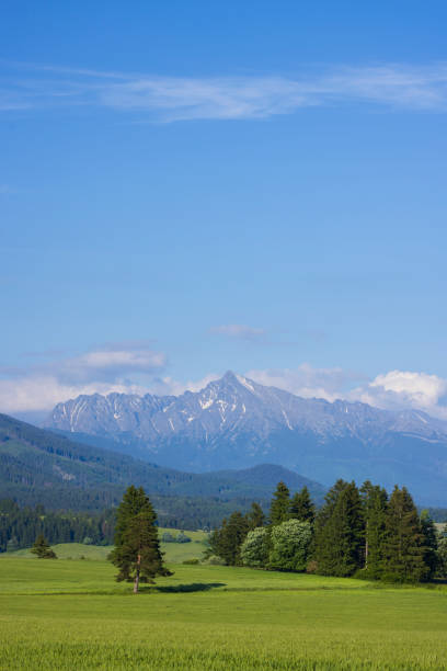 High Tatras with Krivan peak in spring time, Slovakia