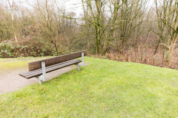 istock Empty bench inviting visitors to relax in peaceful park 2192142317