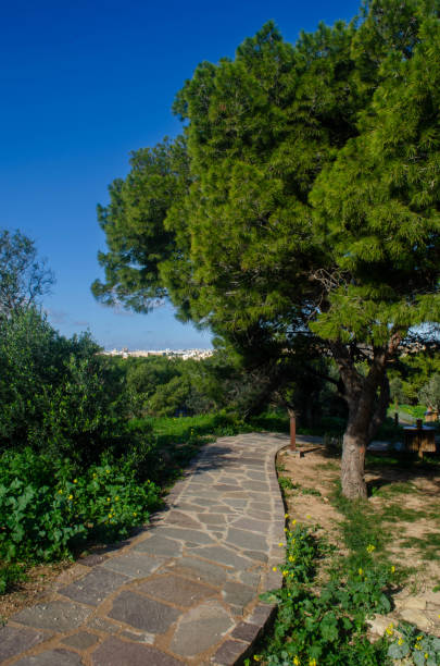 istock Tranquil Nature Pathway in a Scenic Park with Greenery 2192143541