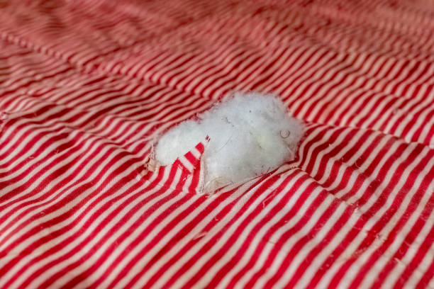 Torn striped fabric reveals stuffing underneath in a well-used quilt stock photo