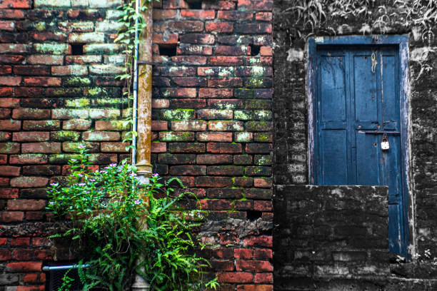 A dark door stands before a textured red wall, illuminated by the soft morning sun.