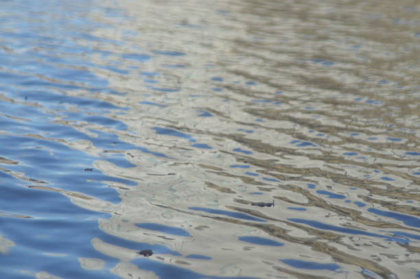 istock Ripples and patterns on the surface on the surface of water, South Wales UK. 2192154051