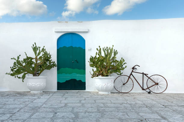 istock Wall with cactuses, bicycle and door in Ostuni, Apulia, Italy 2192156091
