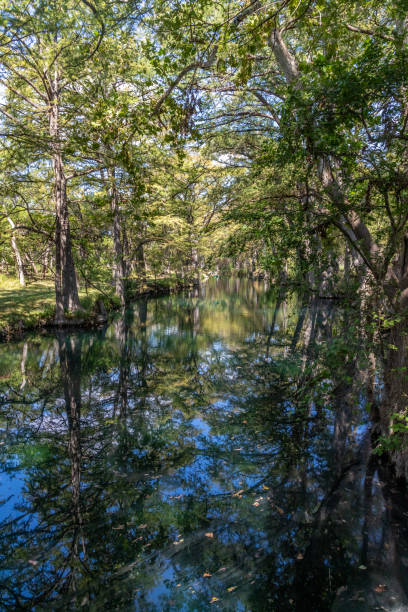 istock Bald cypress trees around lake in Wimberley 2192160107