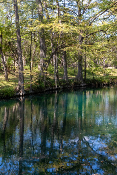istock Bald cypress trees around lake in Wimberley 2192160164