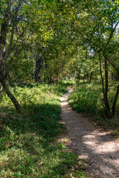 istock Trail around bald cypress tree in Wimberley 2192160342