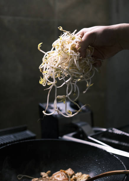 A close-up image of fresh Thai rice noodles being held in a hand, showcasing their smooth, glossy, and delicate texture. These noodles are a staple ingredient in many traditional Thai dishes, such as Pad Thai and noodle soups. The soft lighting and minimalist background emphasize the authenticity and versatility of these noodles, making them ideal for both stir-fried and broth-based recipes. This image perfectly captures the essence of a key component in Thai culinary traditions.