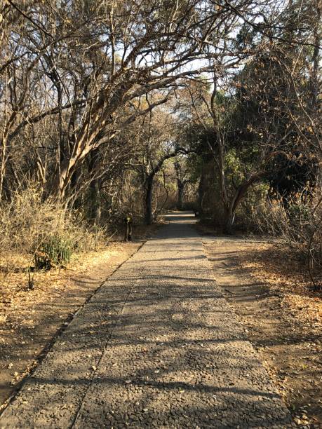 istock A walking path in the Victoria Falls, in Zimbabwe 2192163786