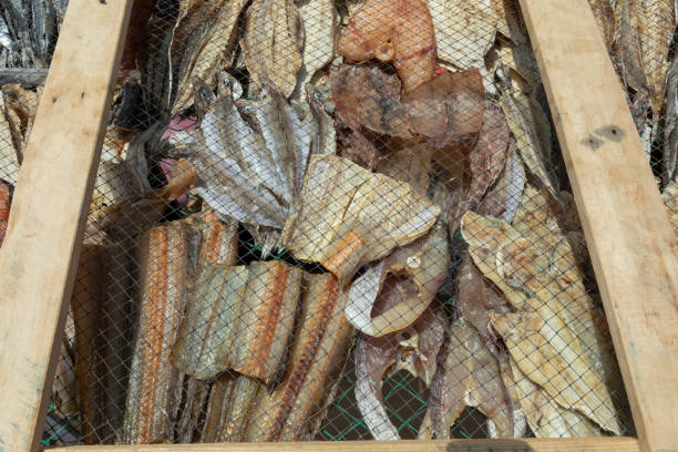 Close-up of assorted dried seafood including anchovies, shrimp, and fish displayed in colorful trays at an outdoor market.