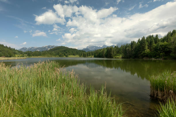 istock Lake Barmsee in Bavaria in summer 2192164223