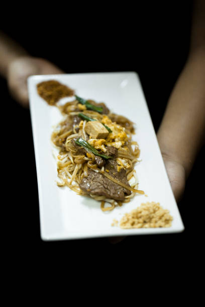A close-up shot of a beautifully presented Thai Pad See Ew dish, served on a sleek rectangular plate at a Thai restaurant. The dish consists of stir-fried rice noodles with tender beef slices, tofu, egg, green onions, and bean sprouts, cooked in a flavorful soy-based sauce. Garnished with crushed peanuts and chili flakes, this dish embodies the rich flavors and textures of traditional Thai cuisine. The dark background highlights the contrast and enhances the elegant presentation of this classic Thai dish.