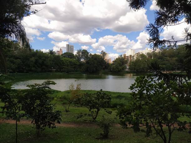istock Aclimacao park in a warm summer day 2192166162
