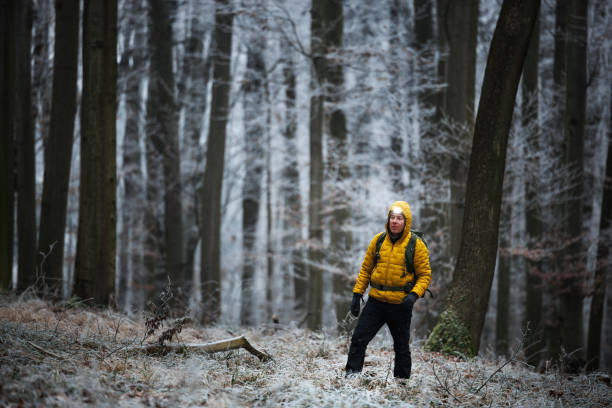Man hiker with headlamp walking through frosty woodland during twilight. Outdoors winter adventure