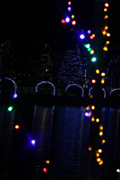 istock Christmas Lights on the Lake 2192170782
