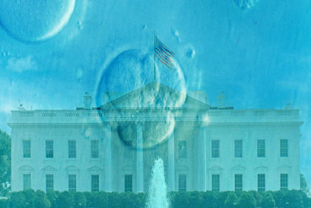 istock Politics and IVF 2192173125