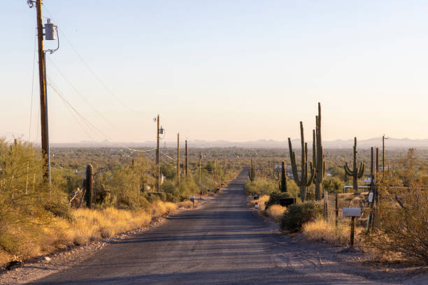 istock View down rural road in desert at sunset 2192175678