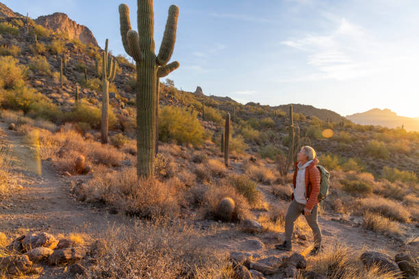 istock Mature man hikes through desert landscape at sunrise 2192175746