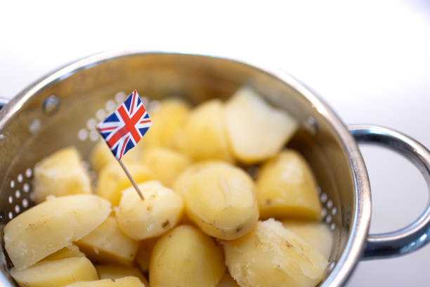 British Maris piper par-boiled potatoes cooling in a colander before roasting