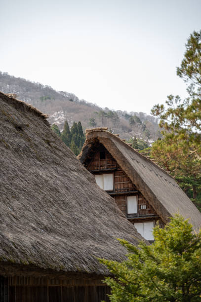 istock japanese old wooden house in the forest mountain 2192178391