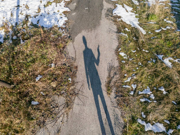Farmer's shadow on dirt road going through wheat field at sunset