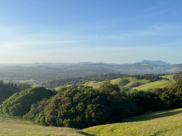 istock Taylor Mountain Regional Park, Sonoma County, California 2192185864