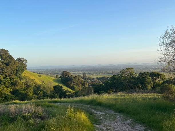 istock Taylor Mountain Regional Park, Sonoma County, California 2192185883