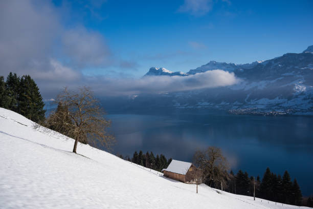 A calm winter day captured with a snow-covered hill, a tree, and a small wooden barn. Lake Lucerne glistens below, framed by the majestic Swiss Alps and a clear blue sky.