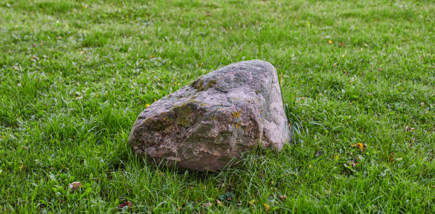 A prominent weathered rock rests upon vibrant green grass, suggesting nature's beauty and simplicity, ideal for conceptual ideas or background imagery