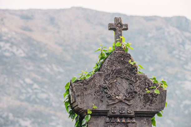 Weathered tombstone with a cross and climbing plants, set against a blurred mountain backdrop, evokes themes of remembrance, history, and the passage of time