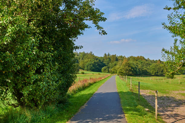 A serene pathway surrounded by lush greenery during spring and early summer, offering a tranquil escape into nature. Perfect for peaceful walks and enjoying the freshness of the outdoors.