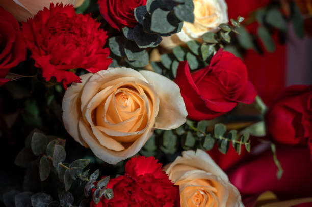 Roses of various colors and varieties