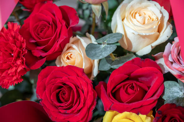 Roses of various colors and varieties