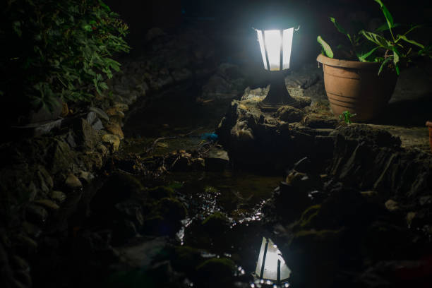 Outdoor garden lamp, light