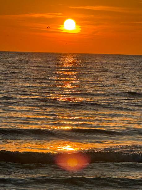 istock Sunset over Siesta Key Beach on Florida’s Gulf Coast 2192202353