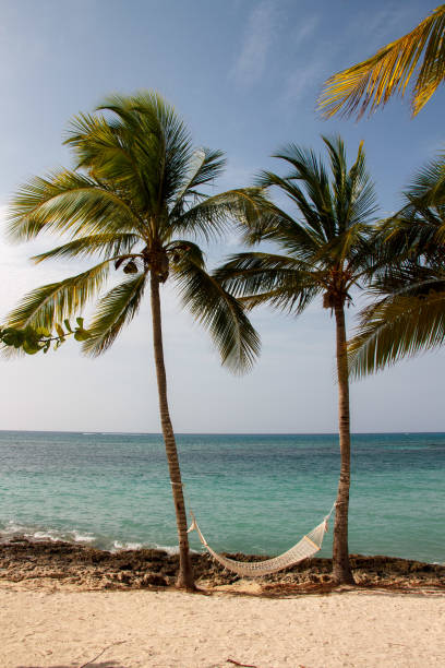 Sea wave, blue sky with clouds and palm trees beach. Punta Cana, Dominican Republic